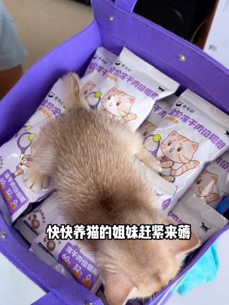 卷尾巴19块9到手五大包新品肉馅猫粮,养猫人抓紧薅!#萌宠好物 #新手养猫 #卷尾巴 #肉馅猫粮