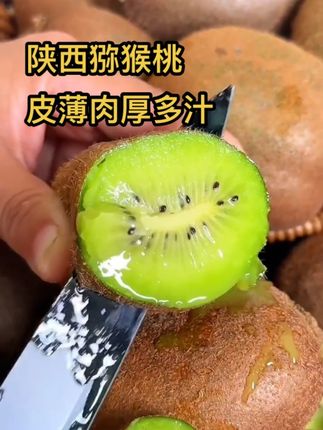 这样的猕猴桃你想吃吗#猕猴桃 #陕西猕猴桃 #脆甜多汁 #优质农产品 #新鲜采摘