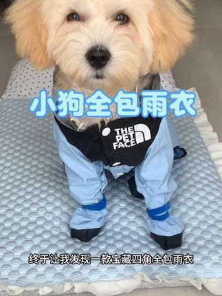 就算下雨也能带小狗出去溜溜了,也不怕狗子狗子打湿回家还要洗澡,养狗人真的可以给狗子备上#狗狗雨衣 #新手养狗 #下雨天遛狗 #狗狗雨衣防水