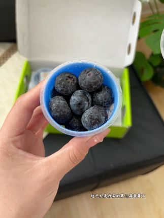 我真是服了!这已经是我买的第三箱蓝莓了你敢信吗!我都不知道孩子怎么那么爱吃#新鲜蓝莓#秘鲁进口#水果#超好吃