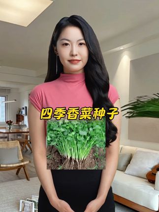 #香菜种子#香菜种植#在家种菜#在抖音入手的好东西#种植小技巧