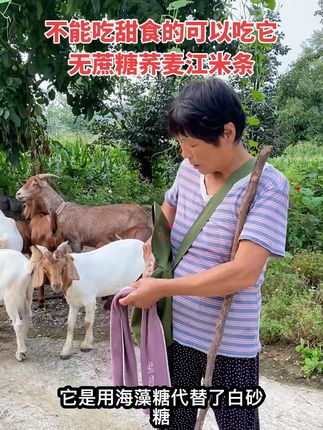 我妈不能吃甜食,每次他去放羊的时候我都会给他带上一包这个无蔗糖的荞麦姜米条,这是一款老式糕点,采用传统工业荞麦制作,营养丰富,口感酥脆,他是用海藻糖代替了白砂糖,甜度很低,吃起来一点也不厚,也不油腻,而且还是清真食品,吃着也放心,嘴馋的时候可以多吃踏实,没有负担的在官方搞活动¥9.9到手这三大包不能吃甜食的朋友们,赶紧去薅他吧!#我的乡村生活 #返乡创业青年 #无蔗糖 #江米条