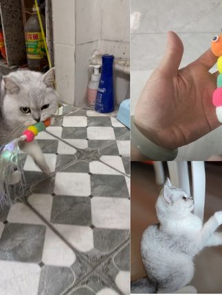 猫咪玩具挂门玩具悬挂弹力逗猫棒宠物挂门猫玩具解闷玩具猫猫用品#厂家直发 #视频爆款热卖中