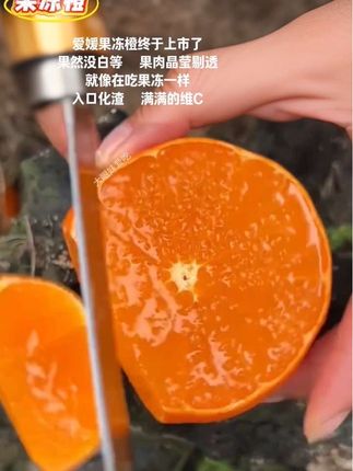 果然没白等,这个爱嫒果冻橙子真的绝了,我还是头一回吃这个,他这个真的就是爆汁,超级清甜#爱嫒果冻橙 #新鲜采摘 #爆汁 #橙子
