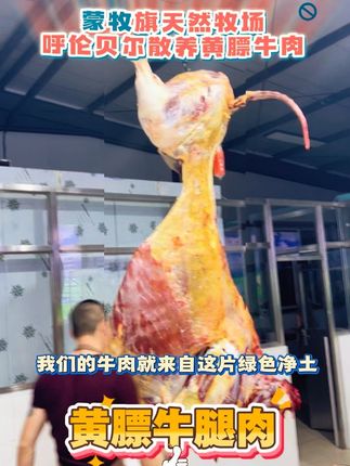 究竟是什么样的牛肉,让人们流连忘返! 呼伦贝尔大草原黄膘牛肉!草饲散养原生态#真材实料才能做出好味道 #强烈推荐 #鲜牛肉 #回头率爆棚 #原生态放养