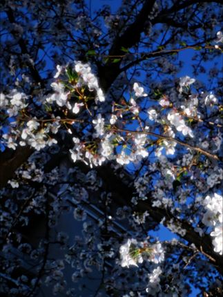 #苦甲水 对戒母乳、戒吃手、戒奶嘴、戒啃指甲都非常好用,我家宝宝用的是#十月结晶 母婴大品牌的苦橙苦甲水,0毒0刺激的温和植物萃取,婴幼儿可用#啃指甲 #戒奶嘴 #戒吃手戒吃手