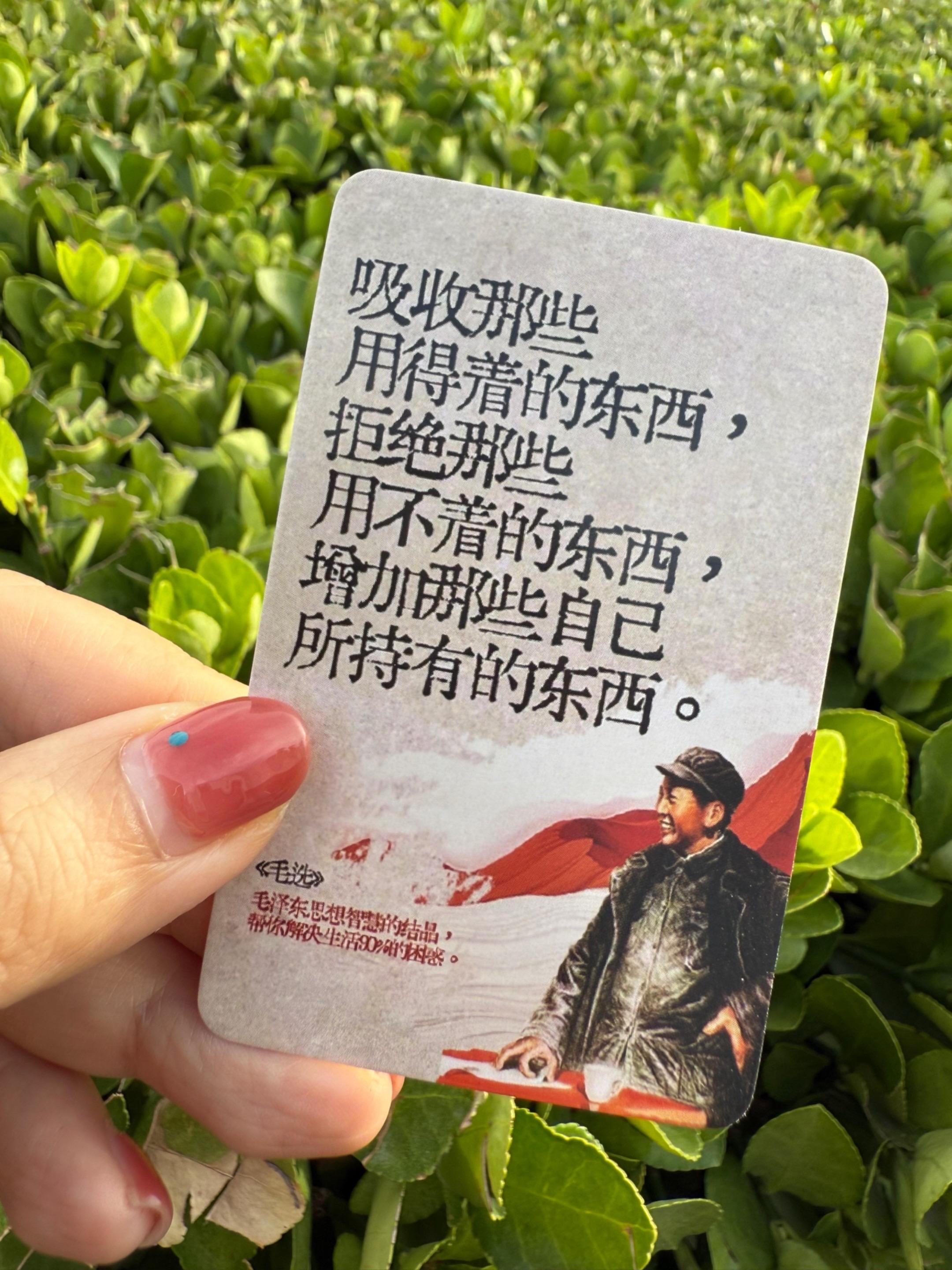 跟着教员不迷茫!没事儿读一张!#强烈推荐 #毛选 #教员