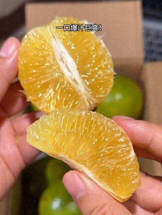 看着酸 吃着比蜂蜜还甜! 真的橙如其名!像冰糖一样甜,纯甜,没有一点酸!真的惊艳到我了!纯甜无酸一口爆汁!真的超好吃 橙子香气浓郁#青皮冰糖橙 #新鲜采摘 #应季水果 #橙子 #冰糖橙