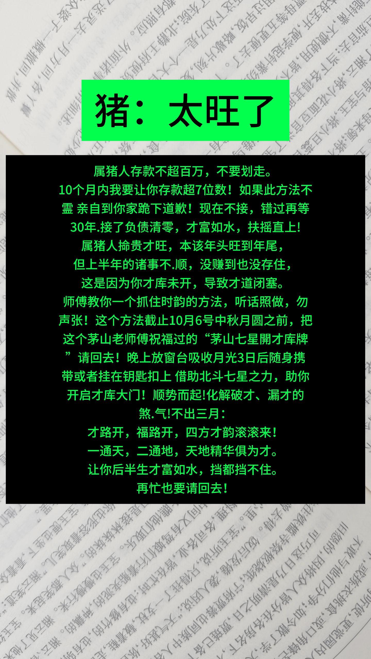 #猪 #属猪 #生肖猪