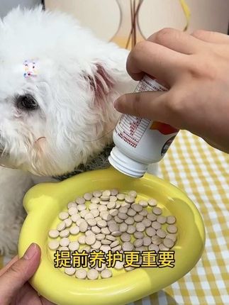 #兽护神 #辅酶q10 #宠物补钙 #宠物用品 #猫狗通用