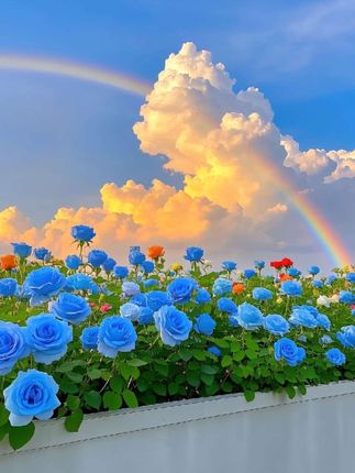 #张予曦毕雯珺真拍了红裙抱 #深情眼 #李兰迪敖瑞鹏面对面考拉抱 #李兰迪敖瑞鹏破万福利共创好甜 #终于等来崔秀彬的芒种摇了