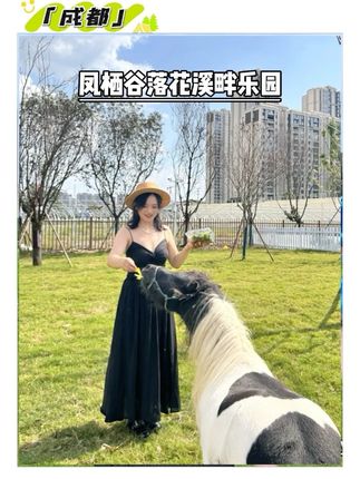 开业预售!成都温江凤栖谷马上开业啦! 刷到赶紧囤!这一次全新打造升级!周末国庆假期不知道去哪里遛娃?来这里#亲子游玩好去处 #周末去哪玩 #国庆 #温江遛娃好去处##卡皮巴拉明星见面会