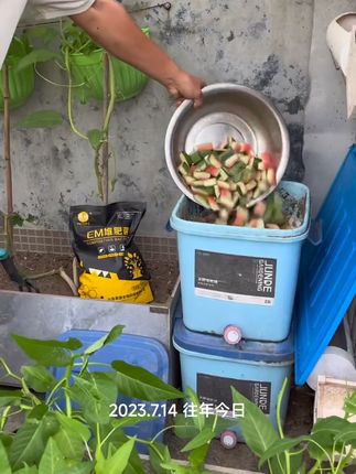 #家庭种植 瓜果皮堆肥#种植小技巧
