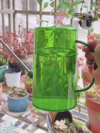 【不锈钢长嘴浇水壶多肉喷壶家用小型浇菜洒水壶阳台植物浇水壶神器#阳台养花 #不锈钢长嘴喷水壶 #浇菜浇水壶#喷壶#浇水壶