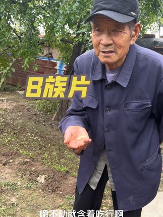 父母年龄大了运动量少代谢慢走路沉重,上午给父亲吃两粒B族片,80多岁牙齿不行就像糖一样放嘴里含化了,父亲健健康康的是我最大的心愿。#21金维他#B族片