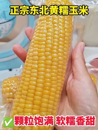 正宗#东北粘玉米 每个都颗粒饱满,软糯香甜,品质真的好,赶紧囤!#无限回购的宝藏单品 #粗粮 #软糯香甜 #好物推荐🔥