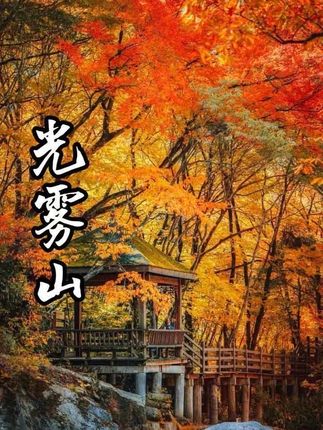 这个秋天快和我一起来光雾山 感受一下属于秋天的浪漫吧 #光雾山#天下红叶AI上光雾山 #向世界推荐光雾山#光雾山红叶#第二十三届四川光雾山国际红叶节