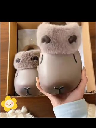 这棉拖鞋现在穿可合适了,卡皮巴拉的这个图案可好看了。#好物分享