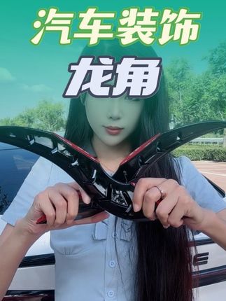 新买的龙角,别给我顺走,让我稀罕两天#汽车好物 #汽车用品 #龙角装饰 #比亚迪 #海豹06dmi