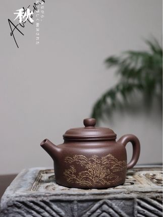 入门款 德中壶 紫泥 约150cc#手艺人在抖音 #茶生活 #传统手工 #非遗传承