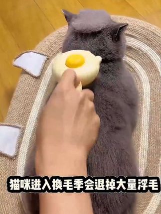一梳一按轻松做猫饼,一键祛毛、轻松除毛、犬猫通用猫饼梳!#萌宠出道计划 #科学养宠#猫饼梳#养宠家庭必备