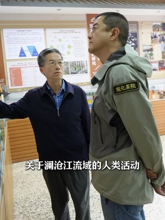 拜访西南林业大学中国古茶树研究中心教授蓝增全#涨知识 #知识分享 #茶叶