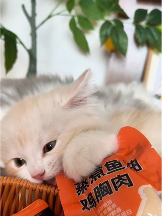 9块9到手14包的鱼油鸡胸肉,趁活动赶紧囤#鱼油鸡胸肉#科学养宠攻略#萌宠好物#养猫人#鸡胸肉