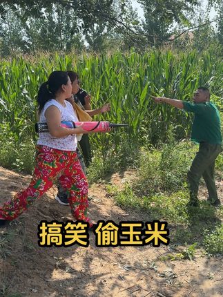 #搞笑 就在地头 拍了个武打片 没有损坏粮食 切勿找俺 @尼古蕾斯 @小豹 @侯女士(孟娜丽莎亲嫂子)