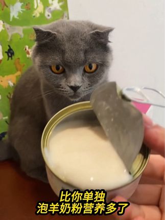 喜喵9块9的羊奶鸡丝罐都不买,你家猫会跟你急眼! #猫罐头 #猫零食 #新手养猫#喜喵 #猫罐头推荐