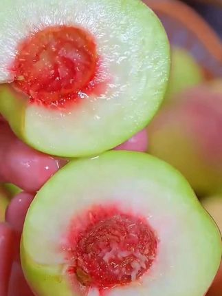 #脆蜜桃 #蜜桃 #新鲜应季水果 #好吃不贵经济实惠 #现摘现发新鲜到家
