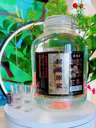 杏花村纯粮美酒10斤一大坛 53度清香型纯粮口粮jiu #白酒#好酒推荐 #纯粮酿造好喝不上头 #口粮酒纯粮食酿造 #我有美酒你有故事吗