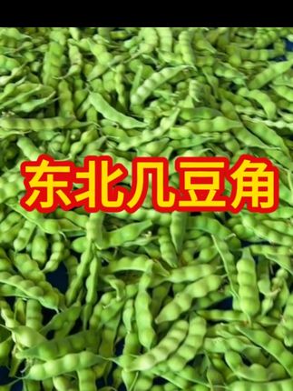 东北几豆角!#几豆角 #东北 #农村 #农村生活 #农村美食