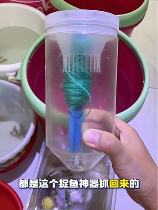 捉鱼神器,捉鱼瓶#捉鱼神器 #捉鱼瓶 #童年的记忆 #捉鱼的快乐 #亲子活动