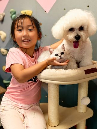 开心的宝贝,会笑的猫咪#宠物和孩子 #美好的时光