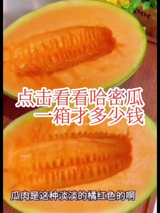 哈密瓜 西周蜜 精品大果2-3个 #好物推荐🔥 #抖加小助手 #哈密瓜 #地方特产 #超便宜超划算
