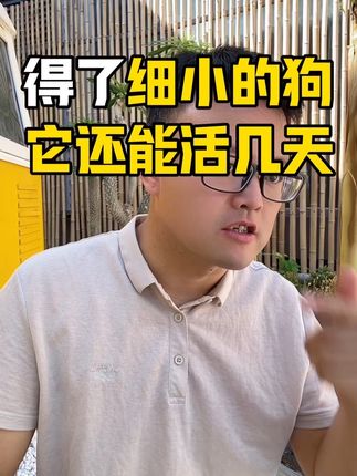 得了细小的狗还能活几天。 #宠物益生菌 #益生菌 #狗狗呕吐 #狗狗拉肚子 #养宠进阶指南