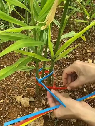 【可多次使用活扣扎带】塑料捆绑扎线尼龙扎带黑白色彩色尼龙扎带#结实耐用#实用性