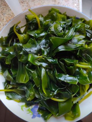 活动专属 盐渍海带嫩苗宁德霞浦海带芽鲜嫩脆爽新鲜3秒火锅菜500g#火锅菜 #鲜嫩 #好吃不贵 #煮火锅 #超便宜超划算