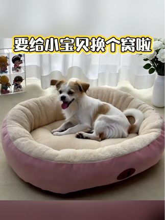 你家的小宝贝有几个窝呀?#萌宠 #萌到爆炸了💥 #养狗人 #毛孩子的日常 #宠物用品