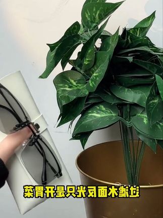 CAPONI日夜两用变色墨镜夹片夹片式男女开车钓鱼近视眼镜专用眼睛