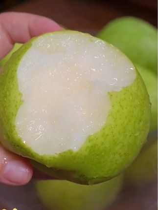 #脆甜多汁 #新鲜采摘 #应季水果 #快来一起尝个鲜 #爆汁