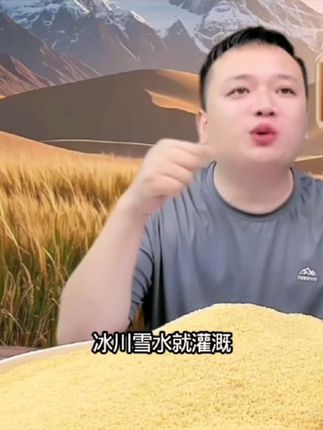 新疆小米疆域沙漠小米黏糯营养丰富米油粘稠米香浓郁七夕厨房食材#小米 #沙漠小米 #粗粮