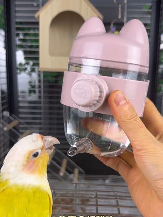 便宜好用 颜值高 #鹦鹉撞针饮水壶 #鹦鹉喝水