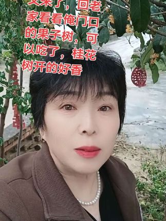 一首好听的歌曲分享,回老家看看俺门前的石榴树,不有枣子,都可以吃了!桂花树开的好香………