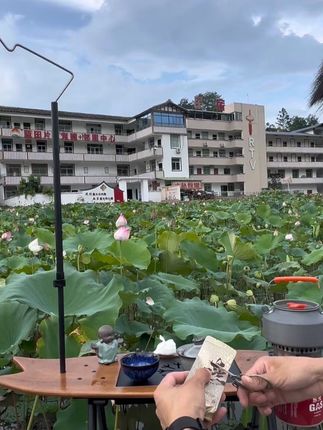 沉浸式泡茶#慢生活模式 #茶生活 #召唤茶友