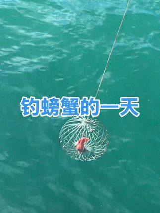 无眼睇,钓一天才钓一只螃蟹🦀,血本无归的一天 #上热门 #海外生活 #日常分享 #快来围观 #海鲜