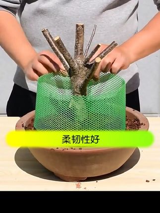 #盆景高培围网控根器专用工具加高围圈草石隔离滤垫片花盆底孔垫网@DOU+小助手