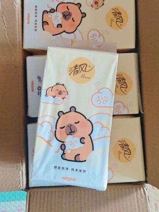 挖到宝了!清风和卡皮巴拉联名的悬挂抽纸,这个价就到手10大提,原生木浆纸,质量嘎嘎好,好看又实用,闭眼囤!#超便宜超划算 #悬挂抽纸 #卡皮巴拉 #清风 #囤纸