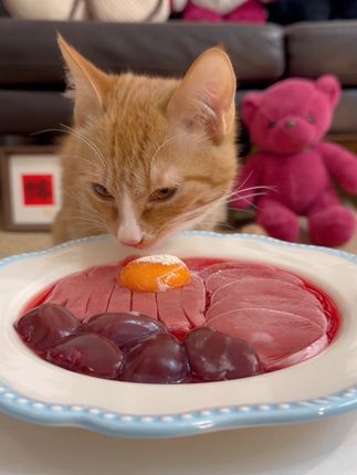 吃货驾到#吃货猫 #宠物吃货 #喂猫