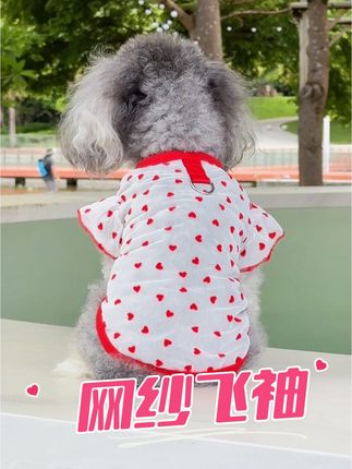 网纱飞袖还挺好看😄#宠物衣服 #萌宠好物 #狗狗衣服 #泰迪